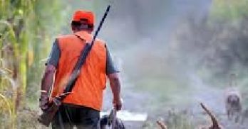 BATTUES DE CHASSE